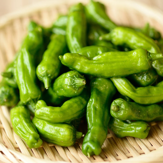 shishito pepper on table